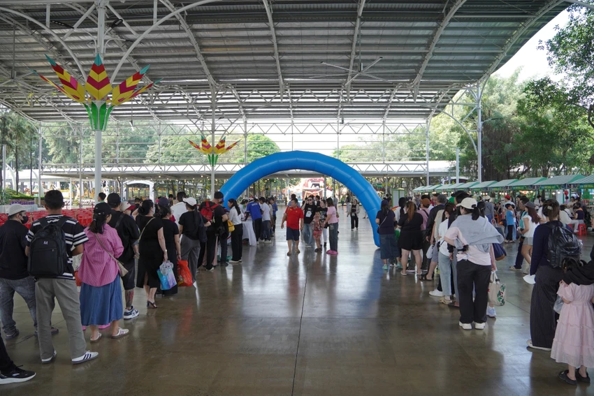 TP.HCM-10.JPG