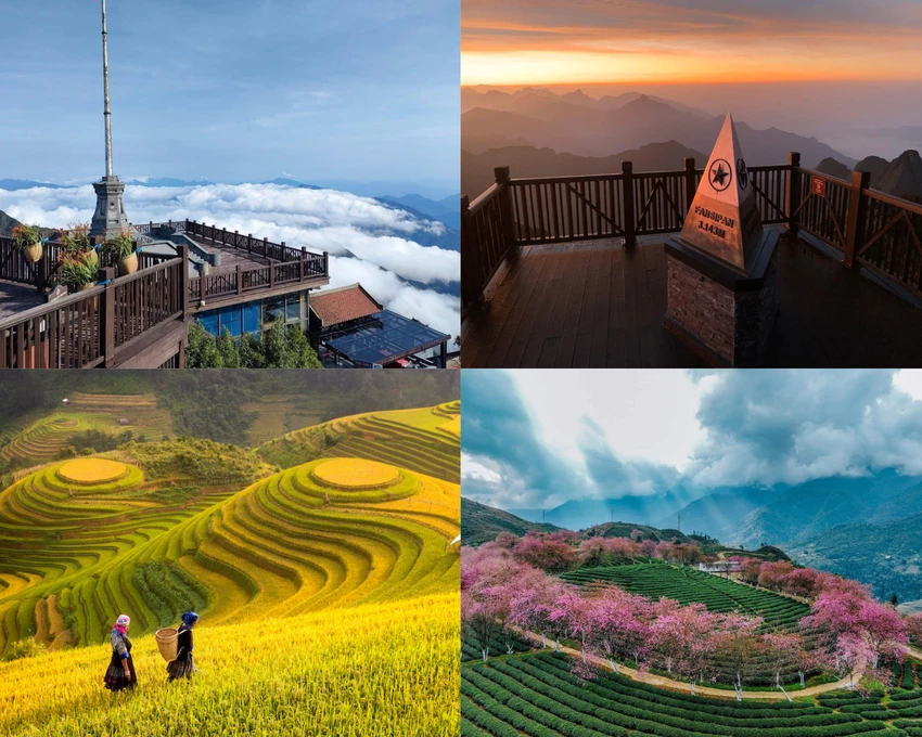 Sapa (1).png