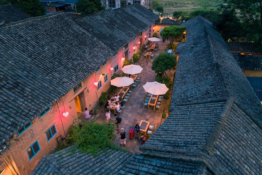 Dương Sóc Trung Quốc_ảnh 2.jpg