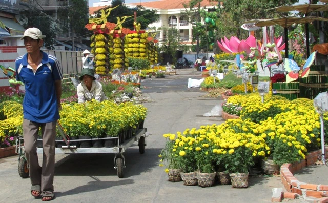 Đường hoa TP Cần Thơ năm nay có gì hay, lạ? ảnh 6 Đường hoa TP Cần Thơ năm nay có gì hay, lạ? ảnh 6