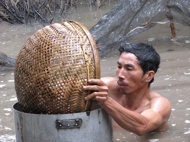 Thú vị với cảnh dỡ chà ăn Tết ở miền Tây ảnh 6 Thú vị với cảnh dỡ chà ăn Tết ở miền Tây ảnh 6