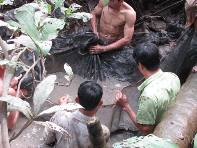 Thú vị với cảnh dỡ chà ăn Tết ở miền Tây ảnh 7 Thú vị với cảnh dỡ chà ăn Tết ở miền Tây ảnh 7