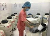 Bệnh viện lúng túng trữ ‘mầm sống’ không người nhận