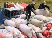 Bức xúc vì hải quan cho đăng ký xuất gạo lúc nửa đêm