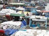 Xuất khẩu gạo: Cần công khai, minh bạch, bình đẳng