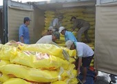 Nhiều vướng mắc về xuất khẩu gạo được tháo gỡ