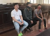 Kháng án, ba bị cáo được hưởng án treo