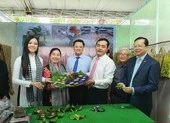 Hoa hậu Phan Thị Mơ nói về du lịch miền Tây