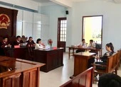 Hoãn phúc thẩm vụ ca sĩ Nhật Kim Anh giành quyền nuôi con