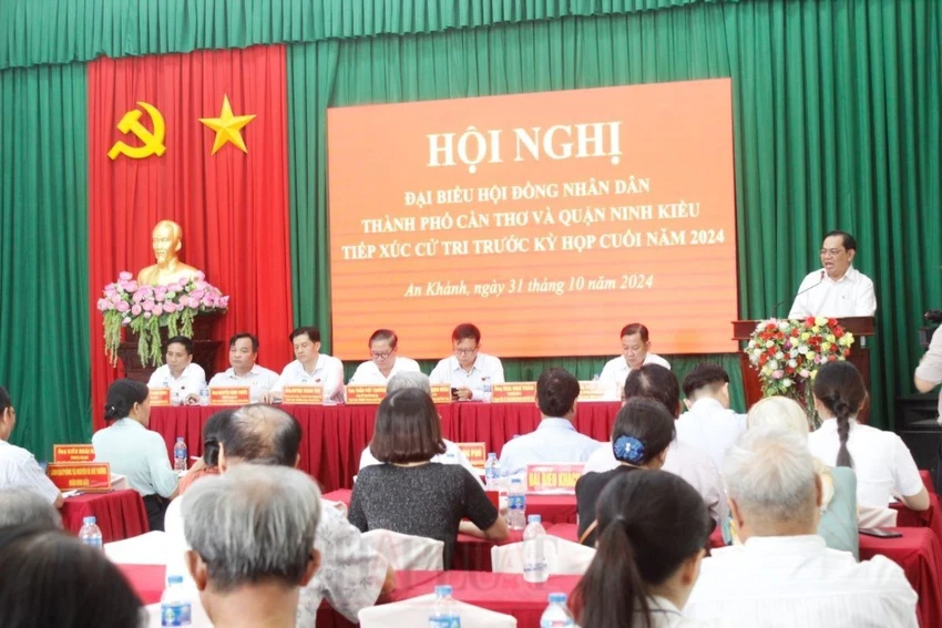 dai-bieu-hdnd-tp-can-tho-txct.jpg