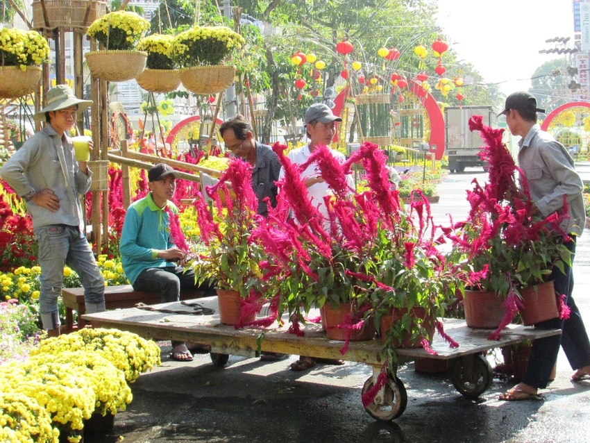 thi công đường hoa nghệ thuật TP Cần Thơ năm 2018.
