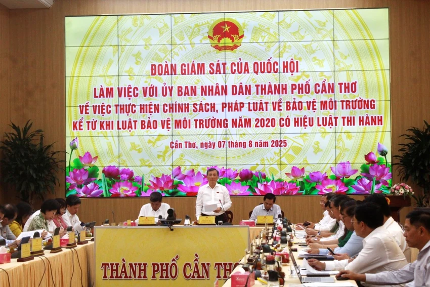 doan-giam-sat-tai-tp-can-tho-2.jpg