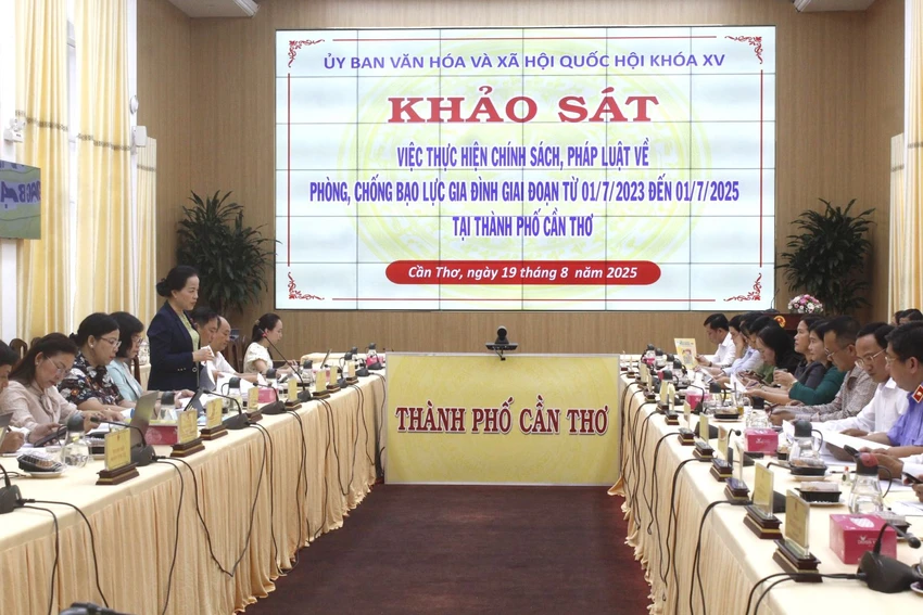 khảo sát việc thực hiện pháp luật về bạo lực gia đình