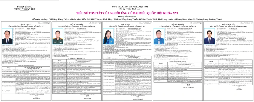 bau-cu-dbqh-can-tho-1.png