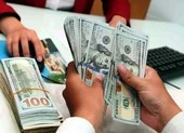 Chưa có cơ sở để lo lắng về sự mất giá của tiền Việt