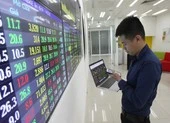 Nhà đầu tư cá nhân nâng đỡ thị trường chứng khoán