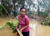 ‘Lo chạy lũ trước, thóc gạo tính sau’