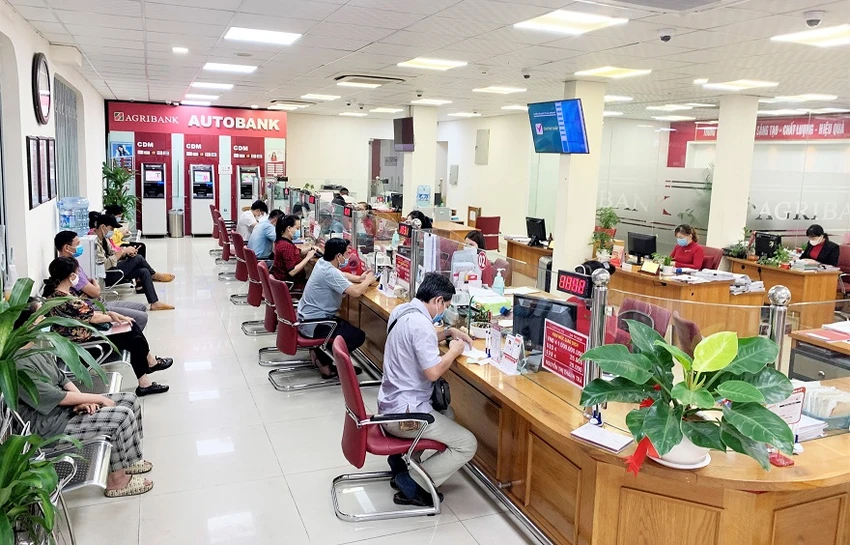 Rộng cửa tín dụng cho ngành lúa gạo