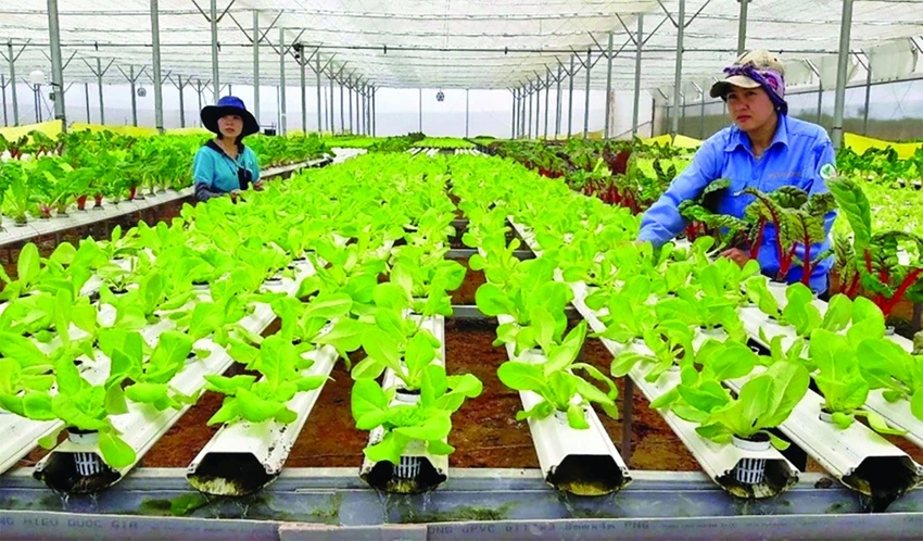 Chuyển đổi xanh là con đường duy nhất giúp doanh nghiệp phát triển