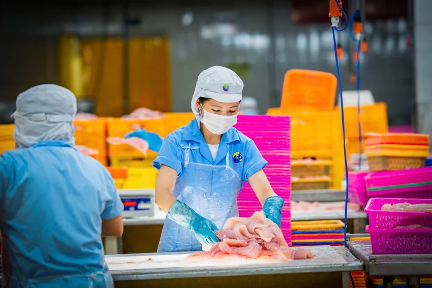 Tín dụng xanh giúp ngành thủy sản tăng trưởng và phát triển bền vững