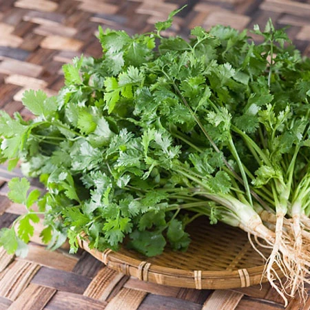 Những loại thảo dược có tác dụng giải độc ảnh 5