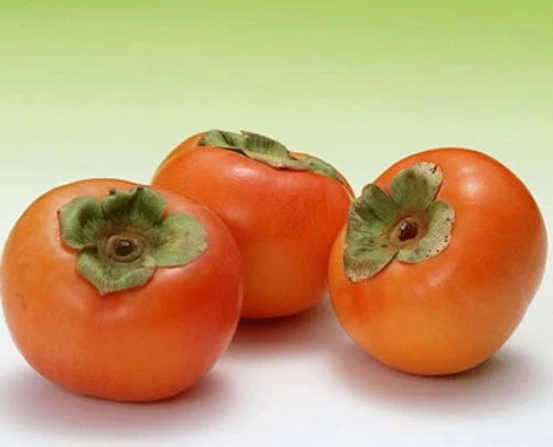 Trái hồng có tác dụng kháng ung thư ảnh 2 Trái hồng có tác dụng kháng ung thư ảnh 2