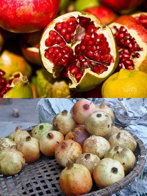 Đặc điểm nhận dạng trái cây Trung Quốc ảnh 5
