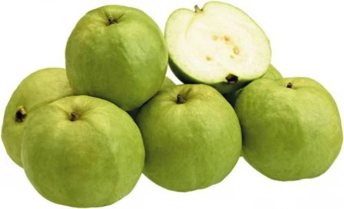 Khám phá tác dụng chữa bệnh của trái ổi ảnh 3