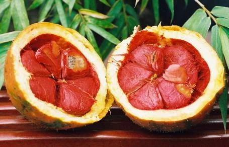 4 tinh dầu giúp trị nám, tàn nhang hiệu quả ảnh 2