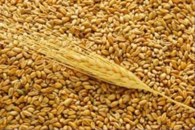 10 cách tự nhiên chữa táo bón mạn tính ảnh 10 10 cách tự nhiên chữa táo bón mạn tính ảnh 10