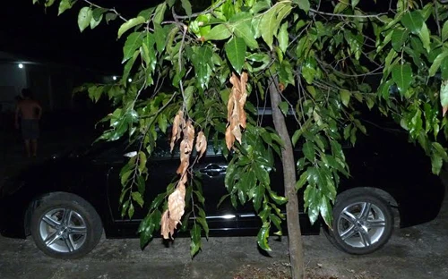 Bé gái chết ngạt bí ẩn trong ôtô đỗ ở bệnh viện ảnh 1 Bé gái chết ngạt bí ẩn trong ôtô đỗ ở bệnh viện ảnh 1