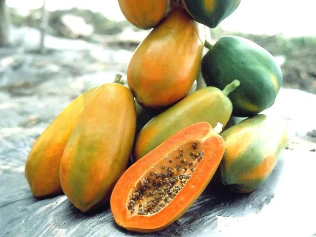 5 thực phẩm cho làn da hoàn hảo ảnh 5 5 thực phẩm cho làn da hoàn hảo ảnh 5