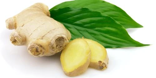 10 dược liệu dân gian chữa đau lưng hiệu quả ảnh 5 10 dược liệu dân gian chữa đau lưng hiệu quả ảnh 5