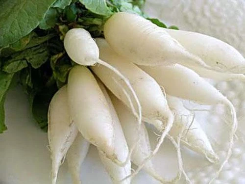 Các loại vitamin cần cho người trung niên ảnh 5
