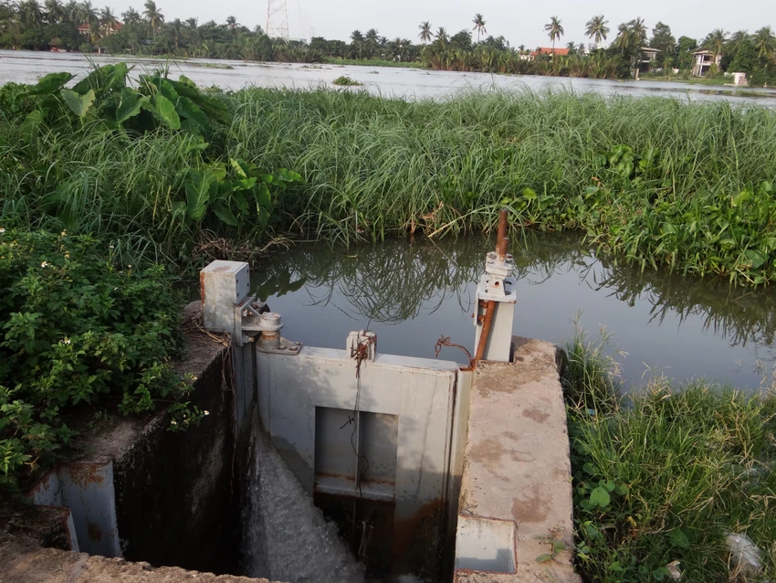 Cống ngăn triều không ngăn nổi nước ảnh 5 Cống ngăn triều không ngăn nổi nước ảnh 5