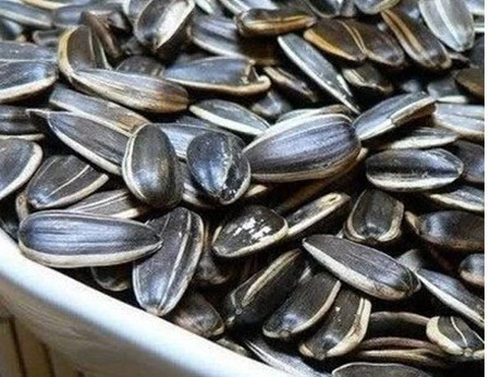 Bảy giải pháp tự nhiên ngăn ngừa tình trạng ‘hai cằm’ ảnh 6