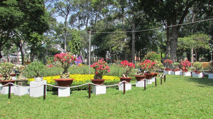 Rộn ràng khai mạc Hội hoa xuân Tết Bính Thân ảnh 3 Rộn ràng khai mạc Hội hoa xuân Tết Bính Thân ảnh 3