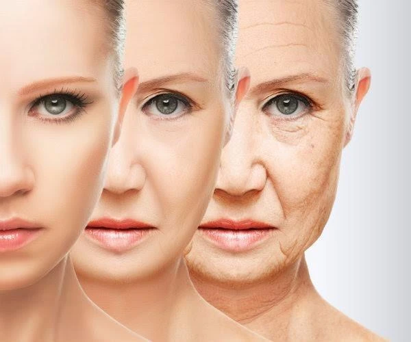 Nếu không được để ý chăm sóc kỹ, làn da của bạn sẽ nhanh chóng lão hóa.