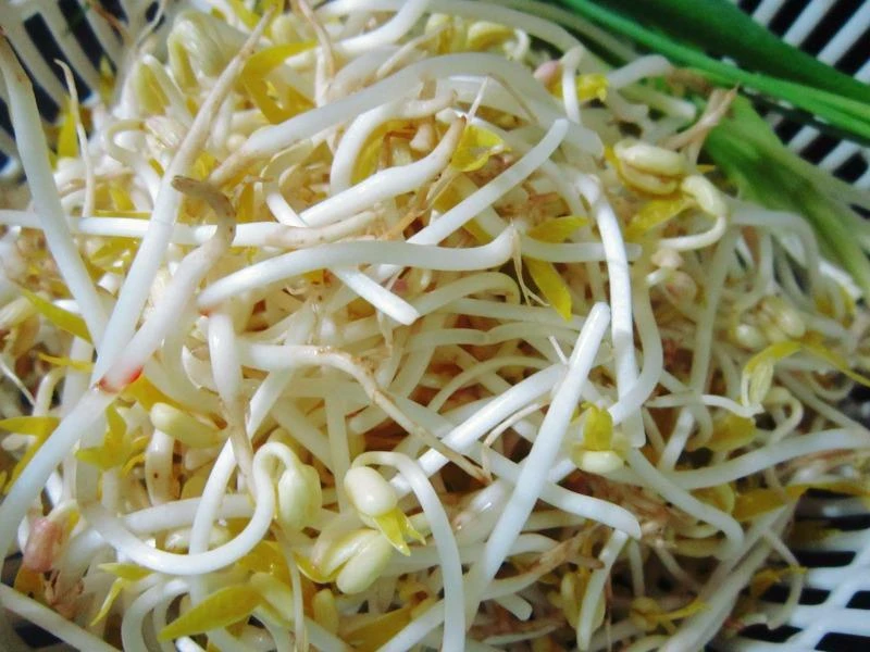 giá đỗ