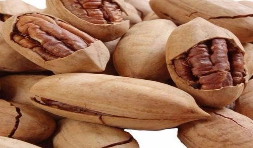 Hồ đào giàu chất béo lành mạnh, giúp cân bằng đường huyết