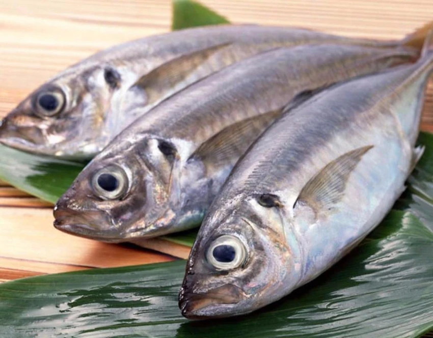 cá biển