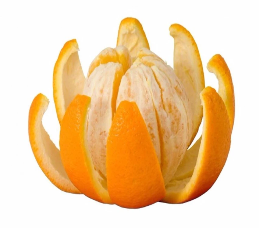 ăn cam cả múi