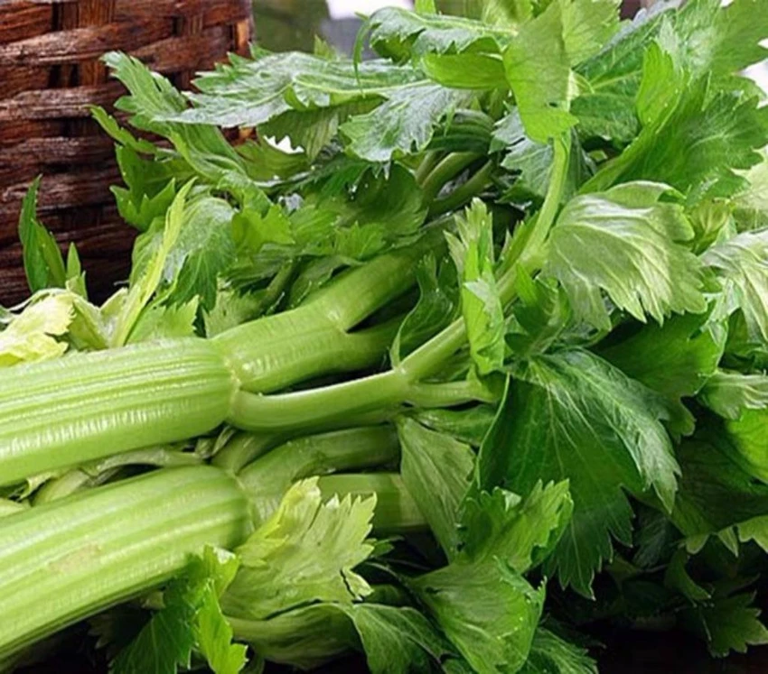 cần tây