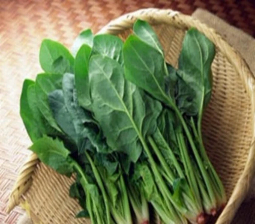 rau chân vịt