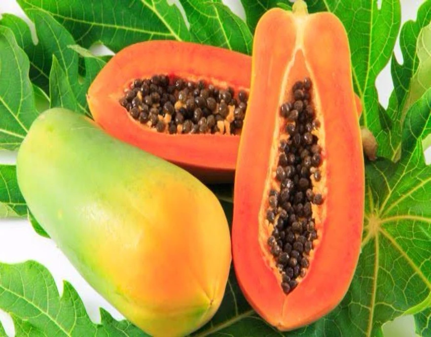 Đu đủ giúp làm đẹp da, chống lão hóa. 