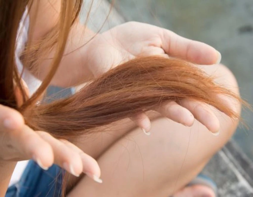 tóc chẻ ngọn