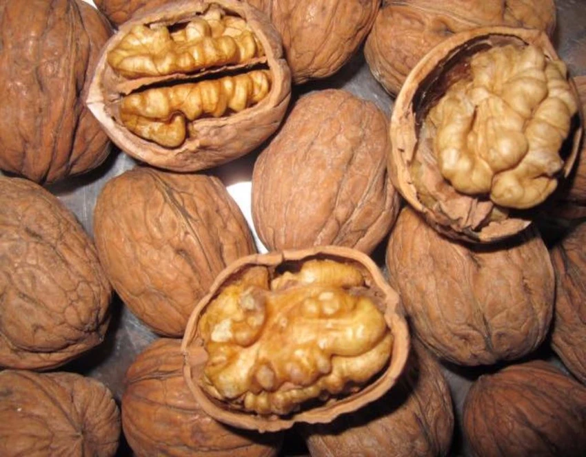 quả óc chó
