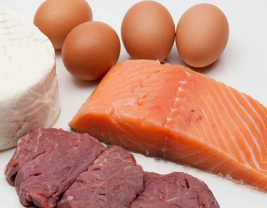 thức ăn giàu protein
