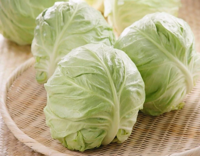 bắp cải giàu chất chống oxy hóa