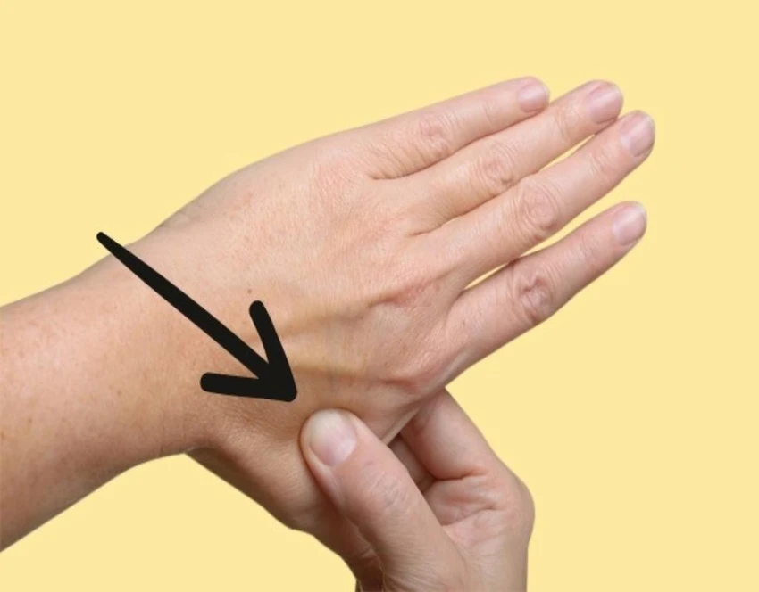 huyệt hợp cốc